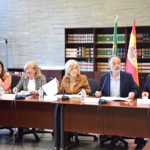 ABAIDEX participa en el Consejo Asesor del Plan de Fomento de la Lectura de Extremadura